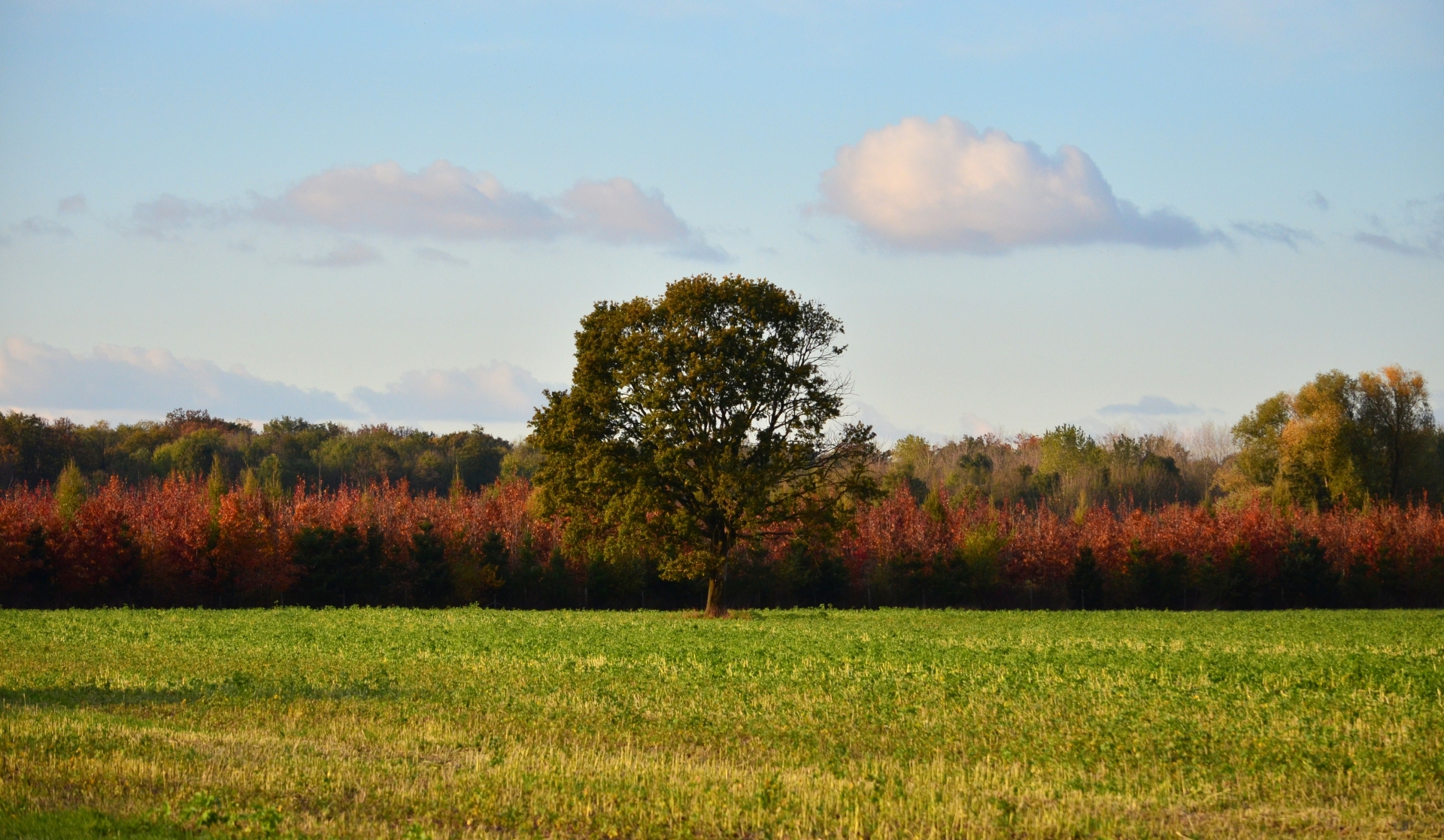 Fonds d'cran Nature Saisons - Automne 