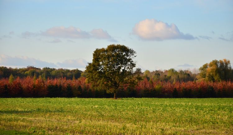 Fonds d'cran Nature Saisons - Automne Wallpaper N319750