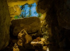  Nature Galerie d'or