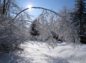  Nature le poid de l'hiver