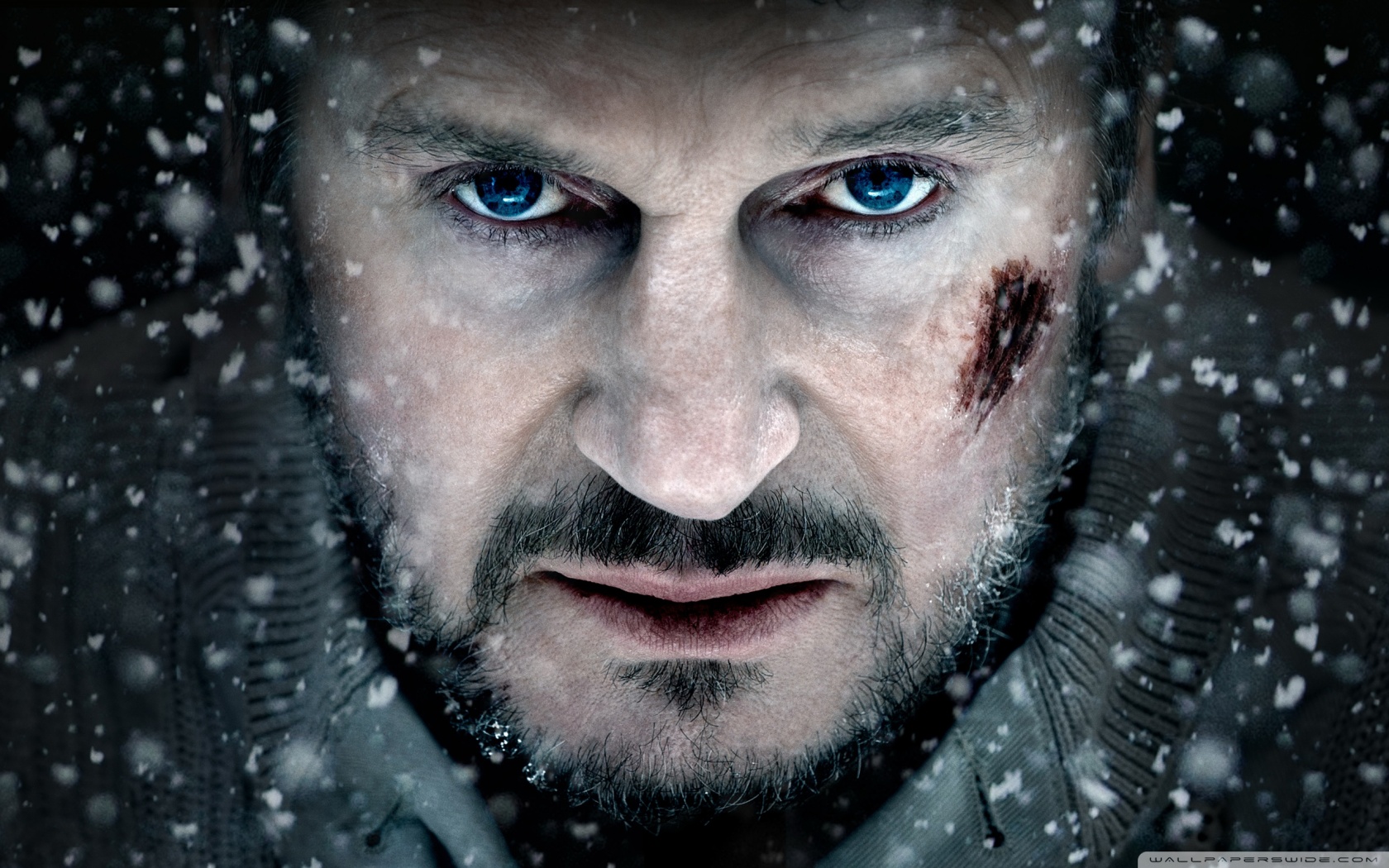 Fonds d'cran Clbrits Homme Liam Neeson The grey 