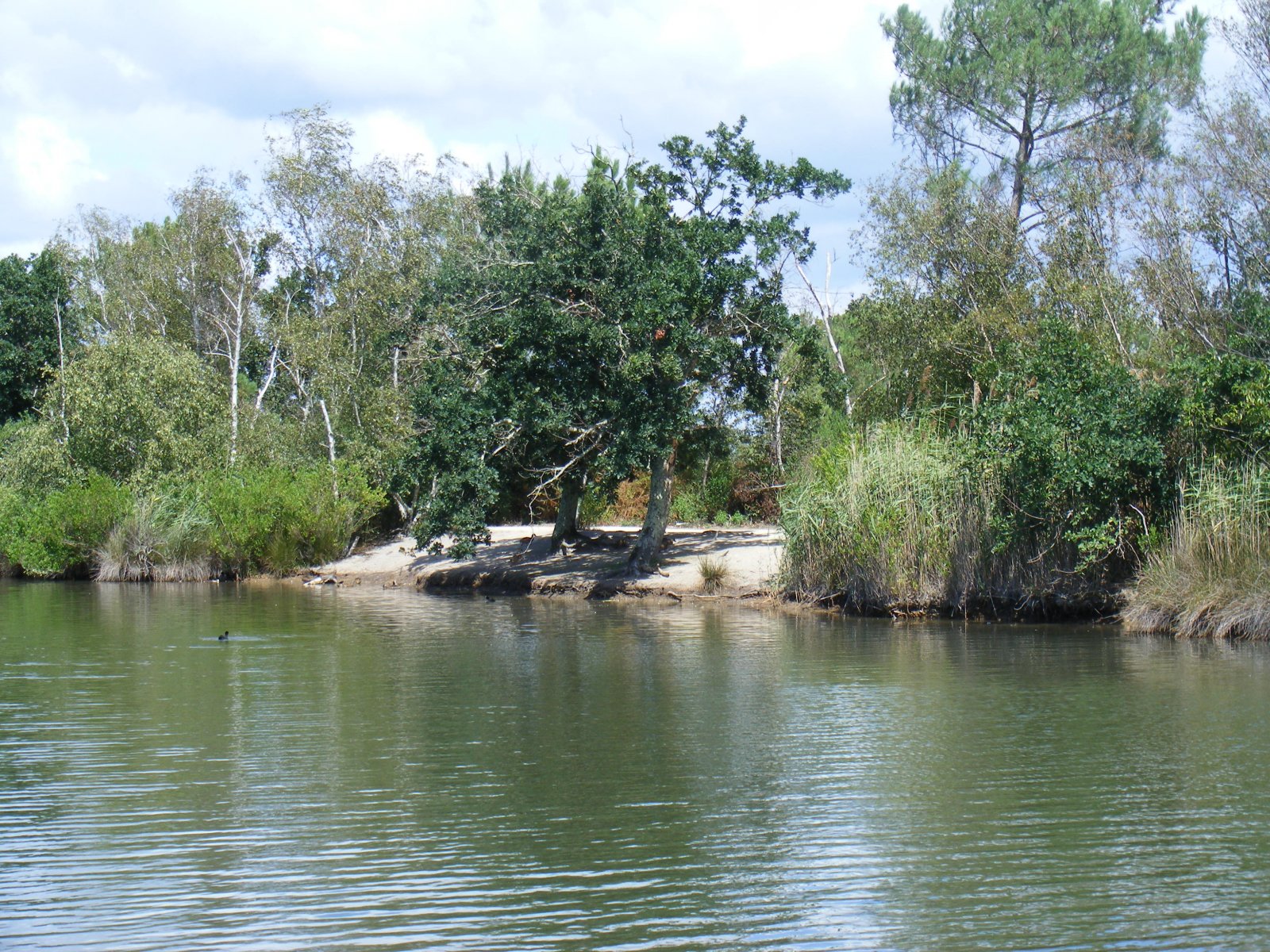 Fonds d'cran Nature Paysages Sentier du littoral