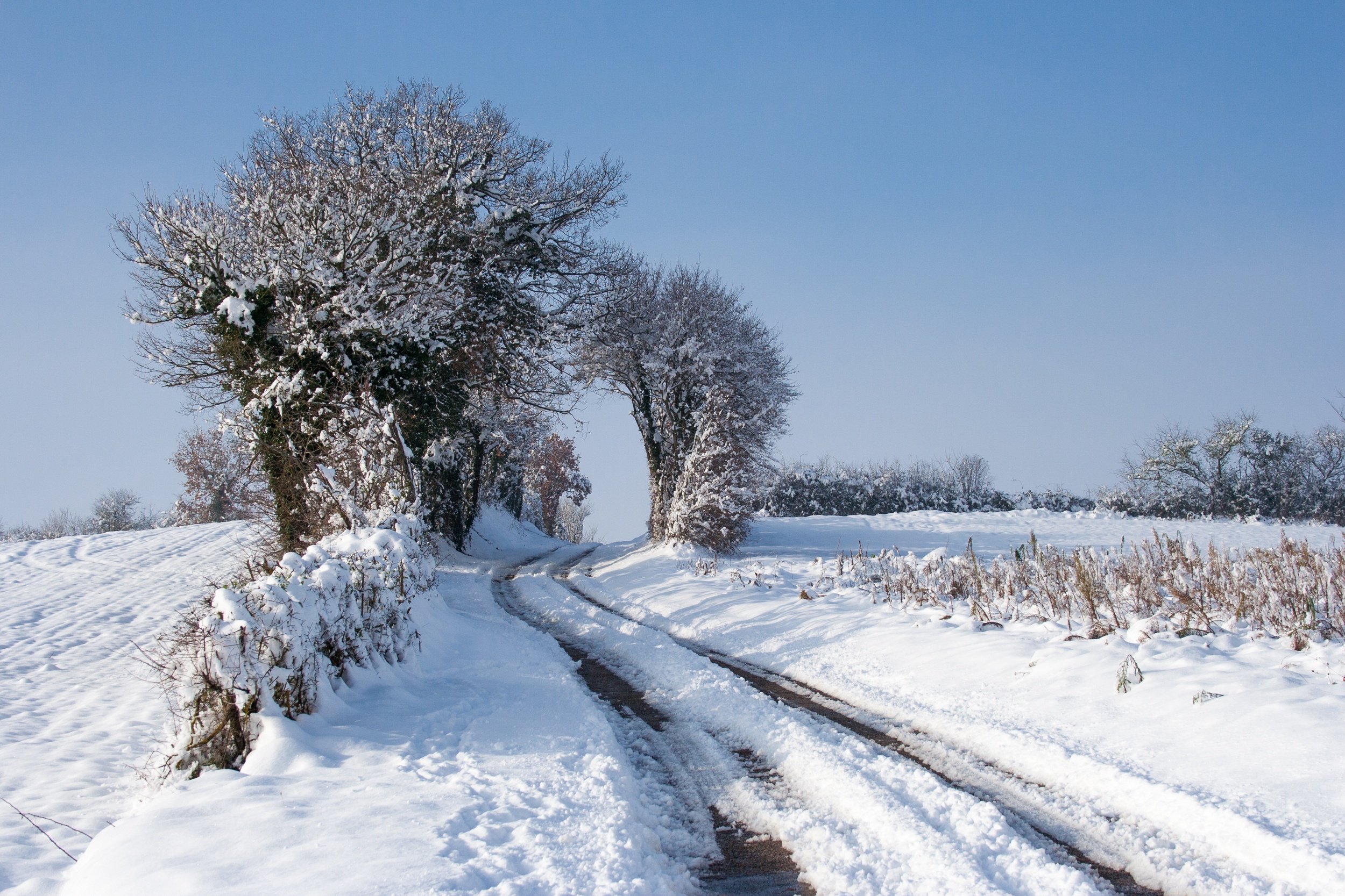 Fonds d'cran Nature Saisons - Hiver 