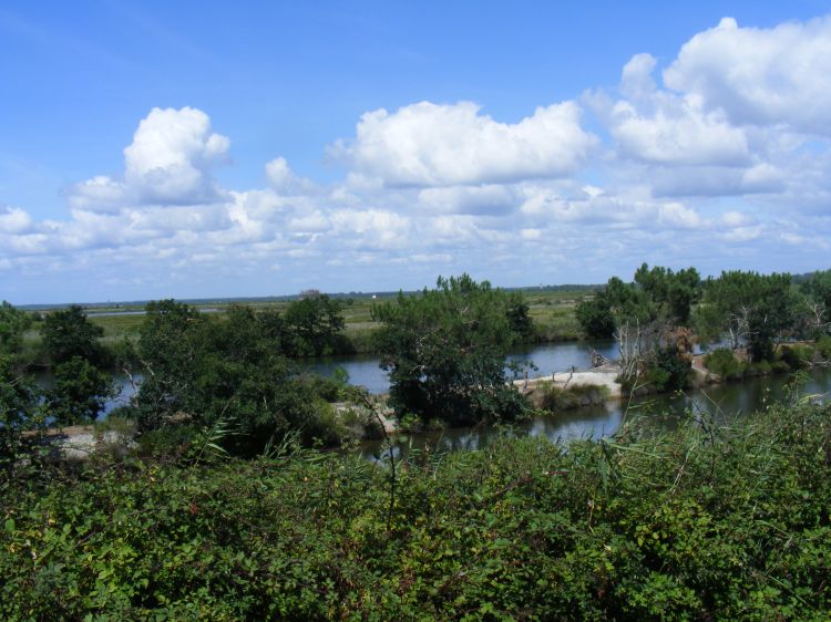 Fonds d'cran Nature Paysages Sentier du littoral