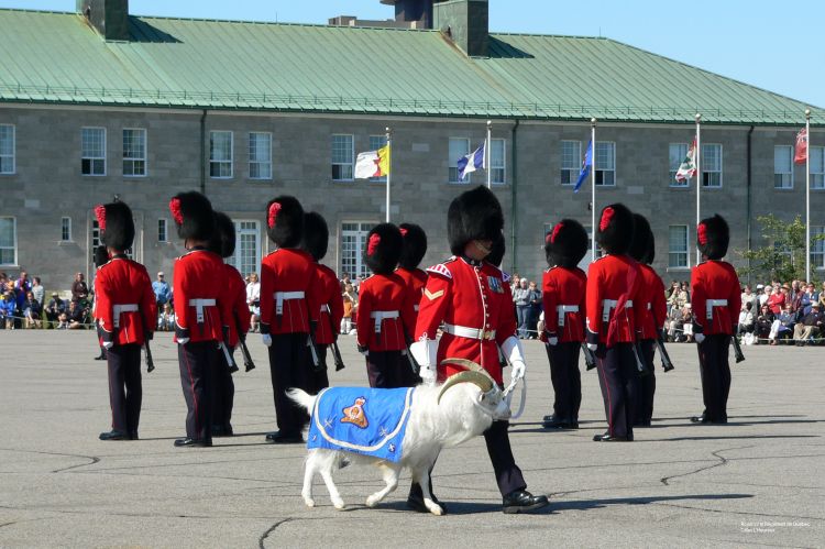 Fonds d'cran Hommes - Evnements Armes - Conflits Festival Musique Militaire de Qubec Royal 22i Rgiment de Qubec