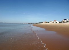  Nature chatelaillon plage