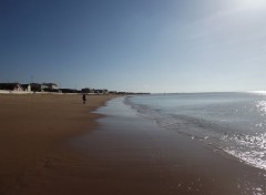  Nature chatelaillon plage