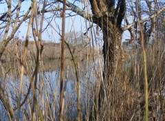  Nature Attendre et observer