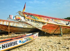  Trips : Africa Bateau du Sénégal