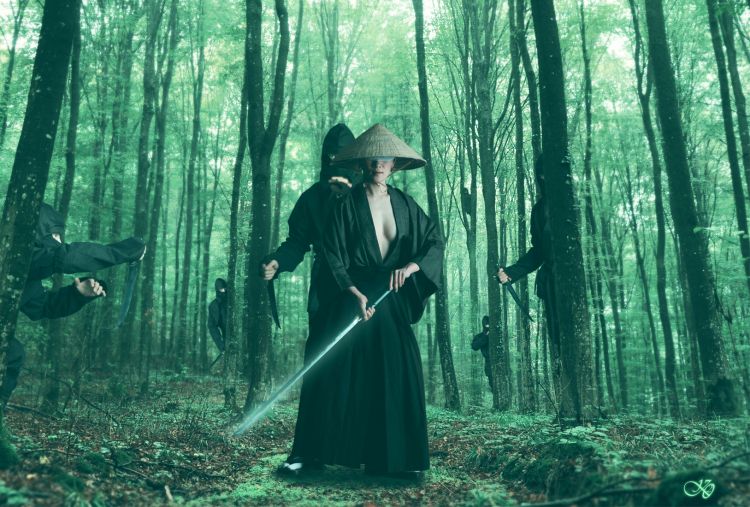 Fonds d'cran Art - Numrique Photomanipulation way of ronin