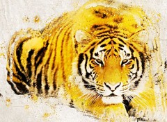  Digital Art Tigre