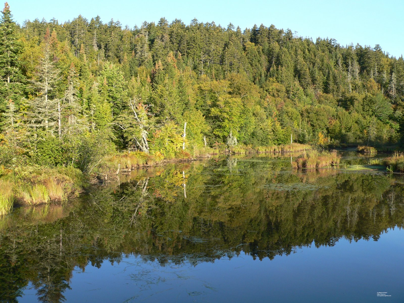 Fonds d'cran Nature Marais Les Marais du Nord