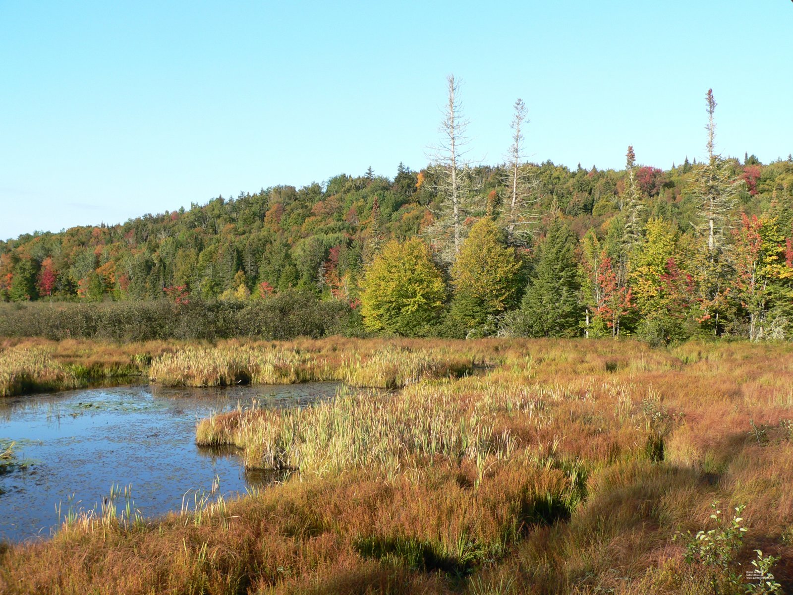 Fonds d'cran Nature Marais Les Marais du Nord