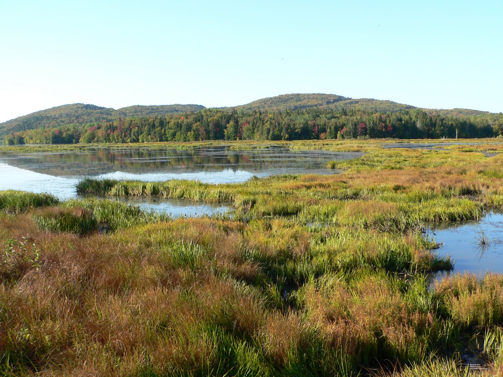 Fonds d'cran Nature Marais Les Marais du Nord