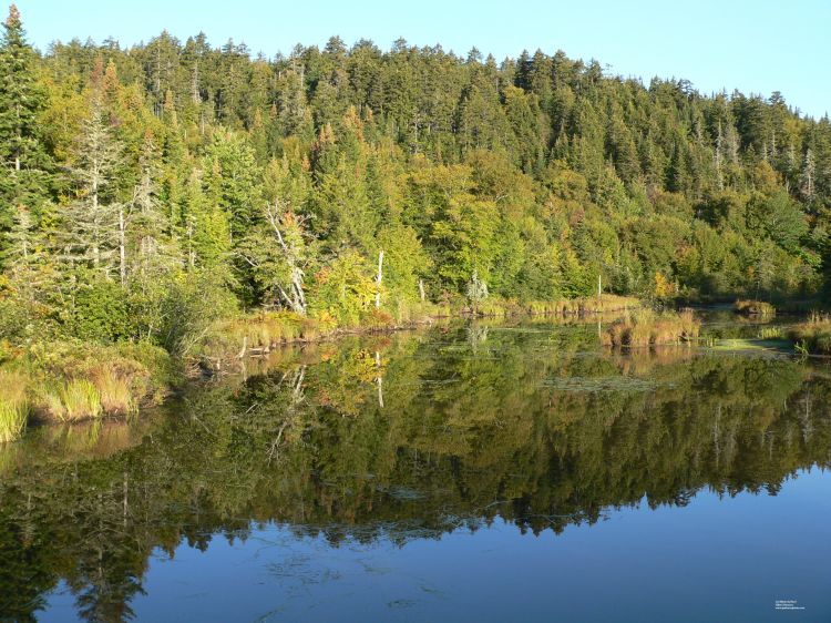 Wallpapers Nature Swamps Les Marais du Nord