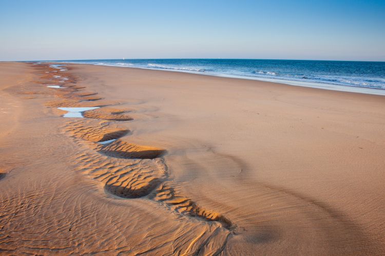 Wallpapers Nature Seas - Oceans - Beaches arabesque sur la plage