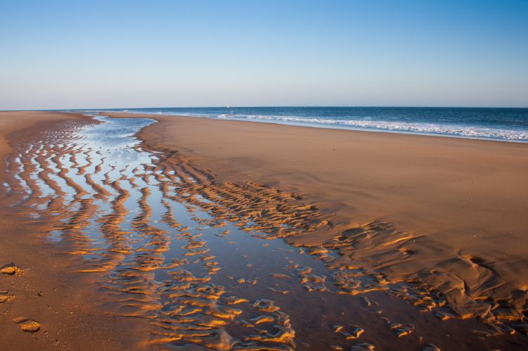 Fonds d'cran Nature Mers - Ocans - Plages arabesque sur la plage