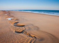  Nature arabesque sur la plage