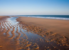  Nature arabesque sur la plage