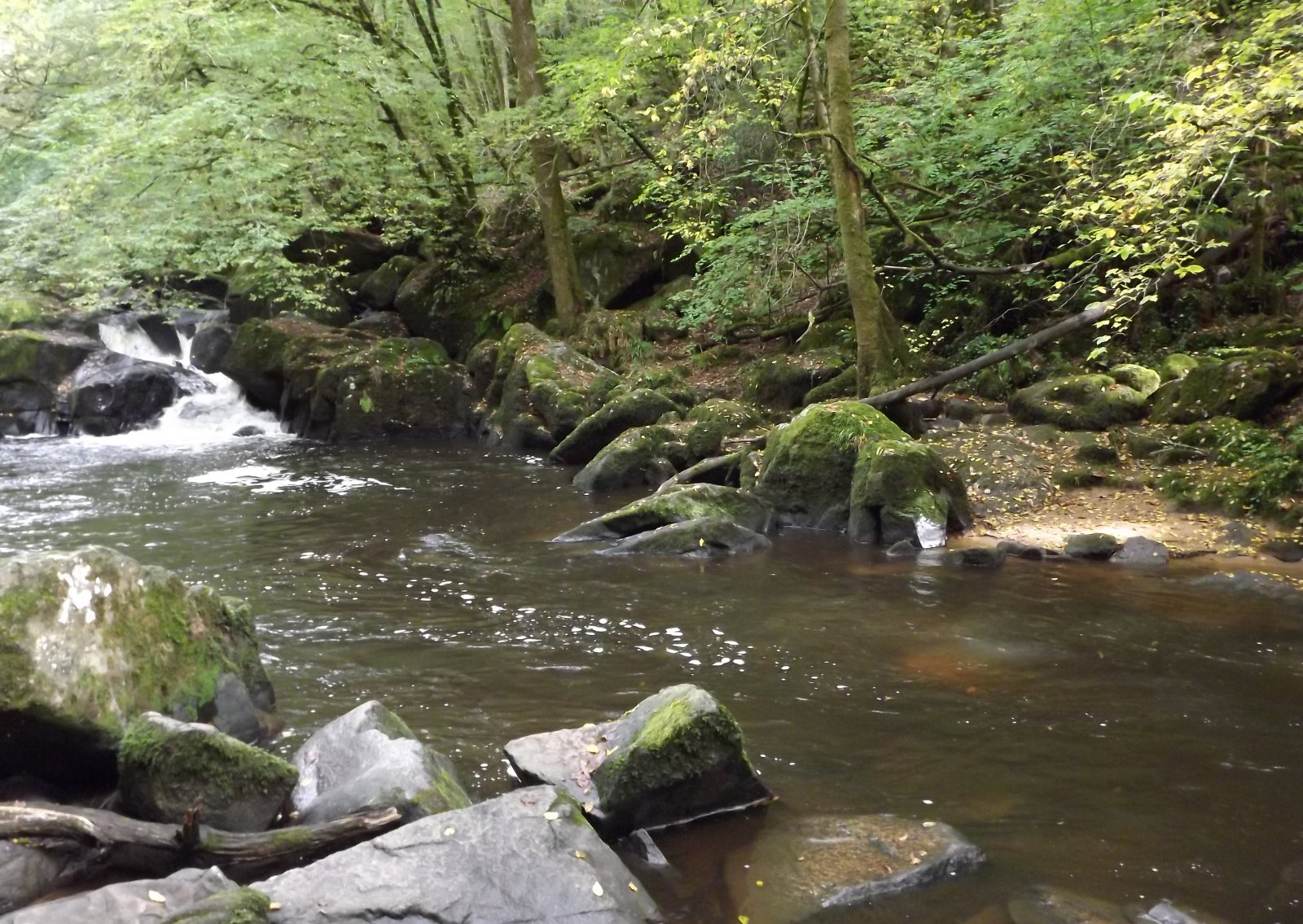 Fonds d'cran Nature Fleuves - Rivires - Torrents le saut du chalard