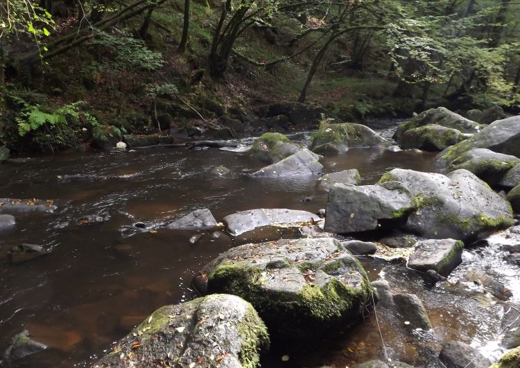 Fonds d'cran Nature Fleuves - Rivires - Torrents la dronne