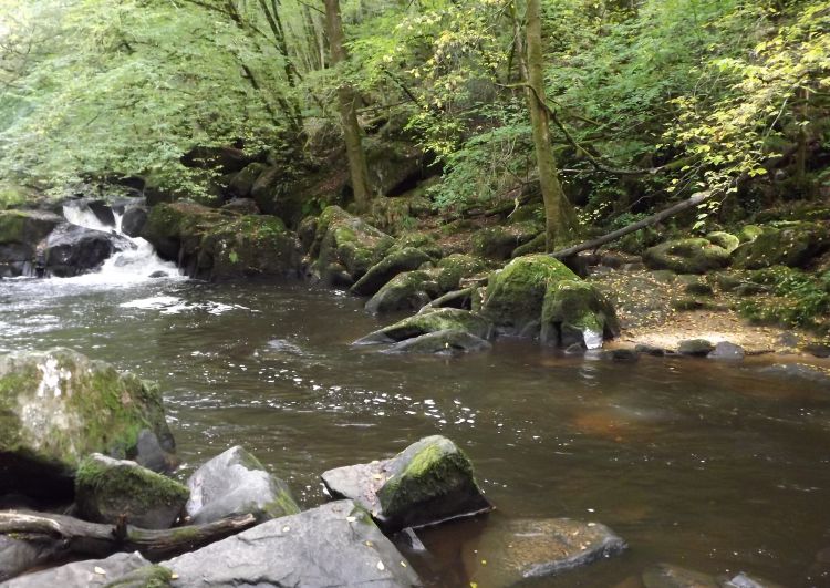 Fonds d'cran Nature Fleuves - Rivires - Torrents le saut du chalard