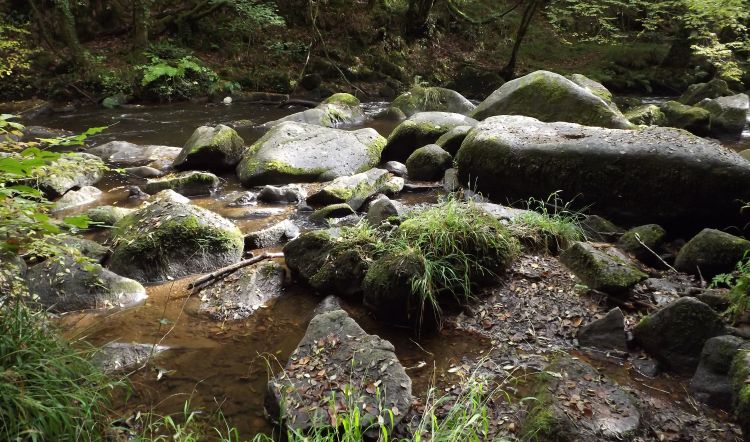 Fonds d'cran Nature Fleuves - Rivires - Torrents des rochers sur la rivire