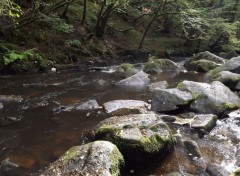  Nature la dronne