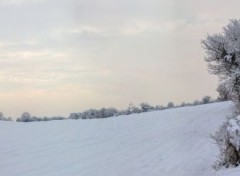  Nature manteau blanc sur la plaine