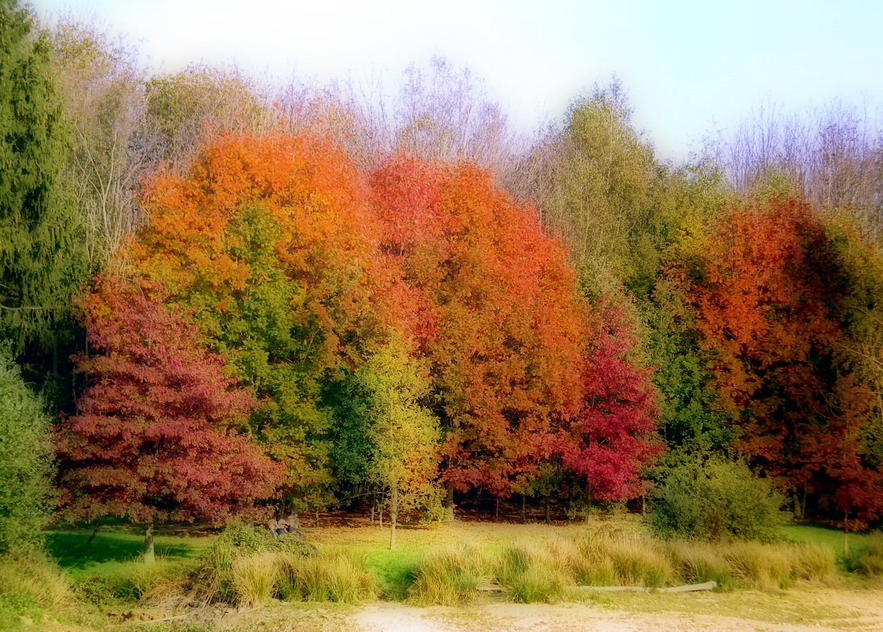 Fonds d'cran Nature Saisons - Automne les couleurs de l'automne