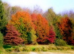  Nature les couleurs de l'automne