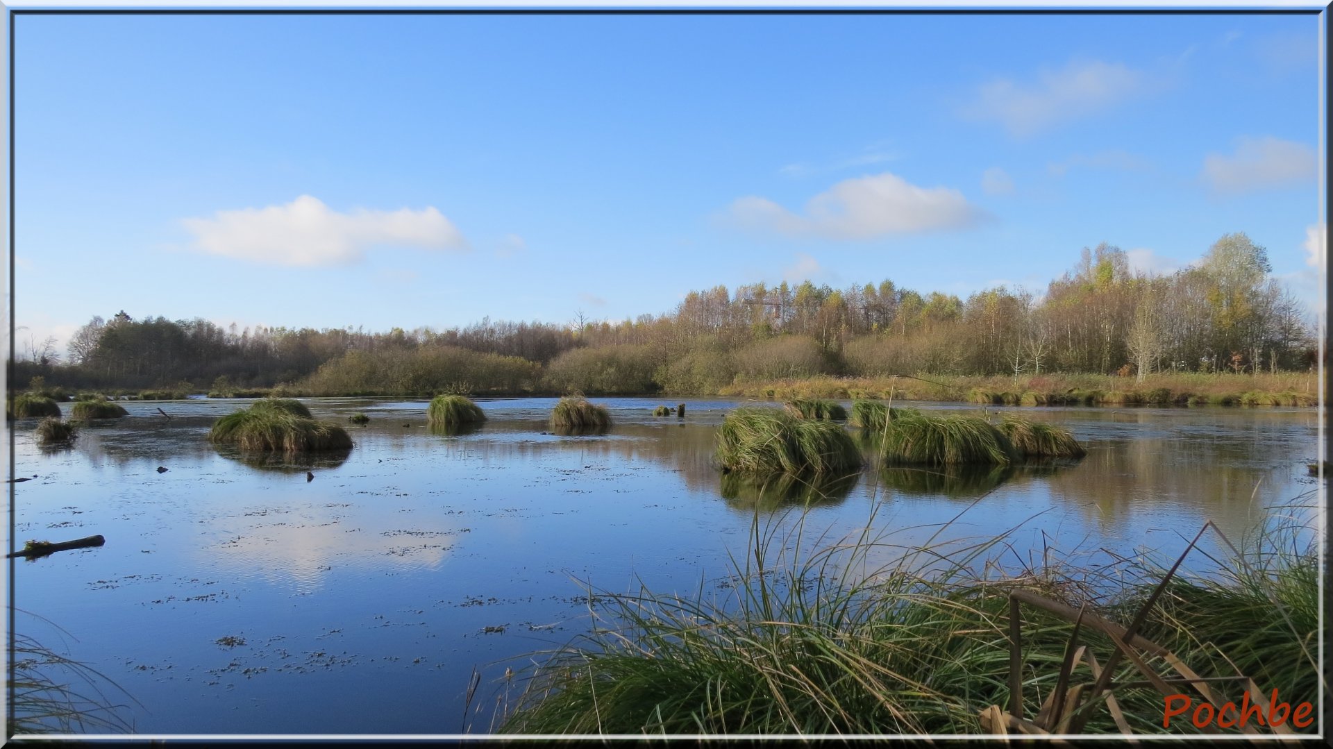 Fonds d'cran Nature Marais 