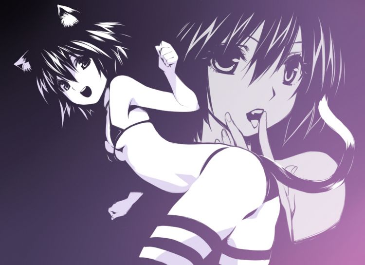 Fonds d'cran Manga Sexy Wallpaper N320975