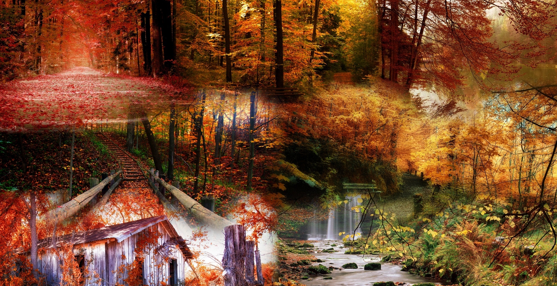 Wallpapers Nature Seasons - Fall 