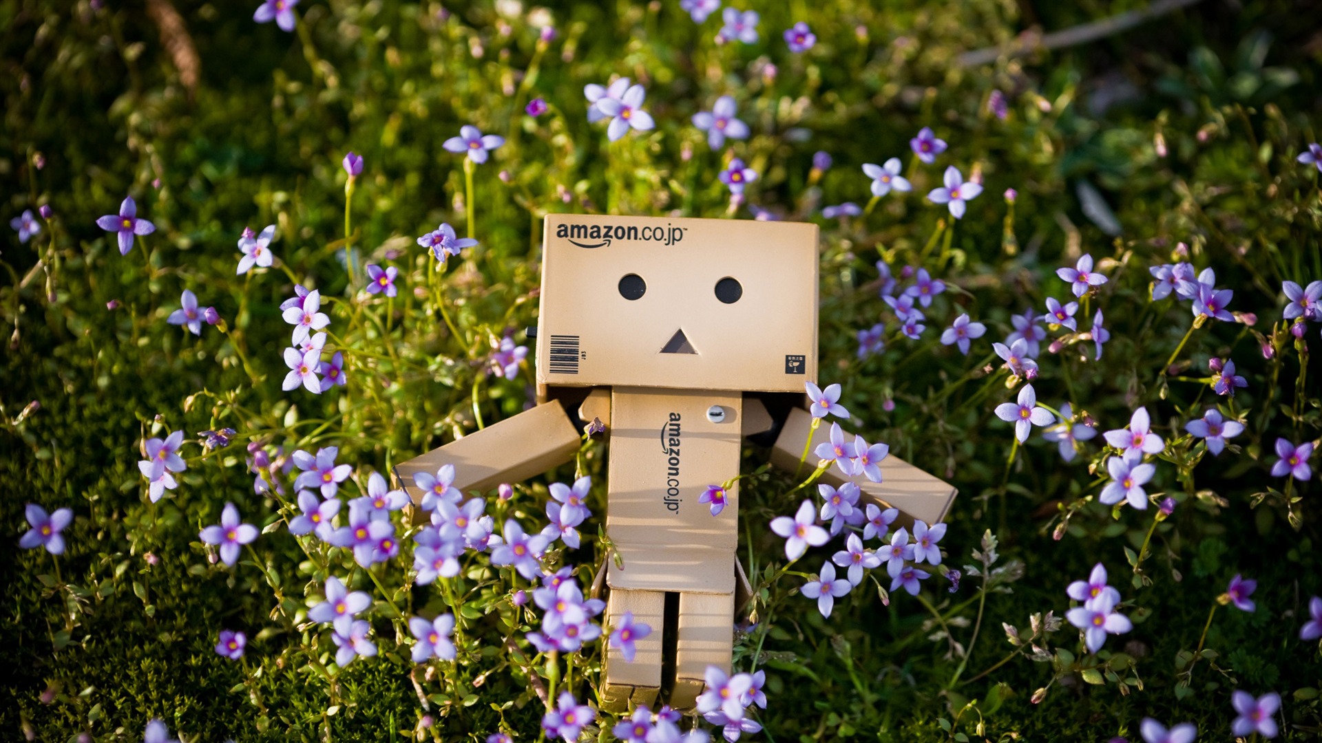 Fonds d'cran Objets Danbo 