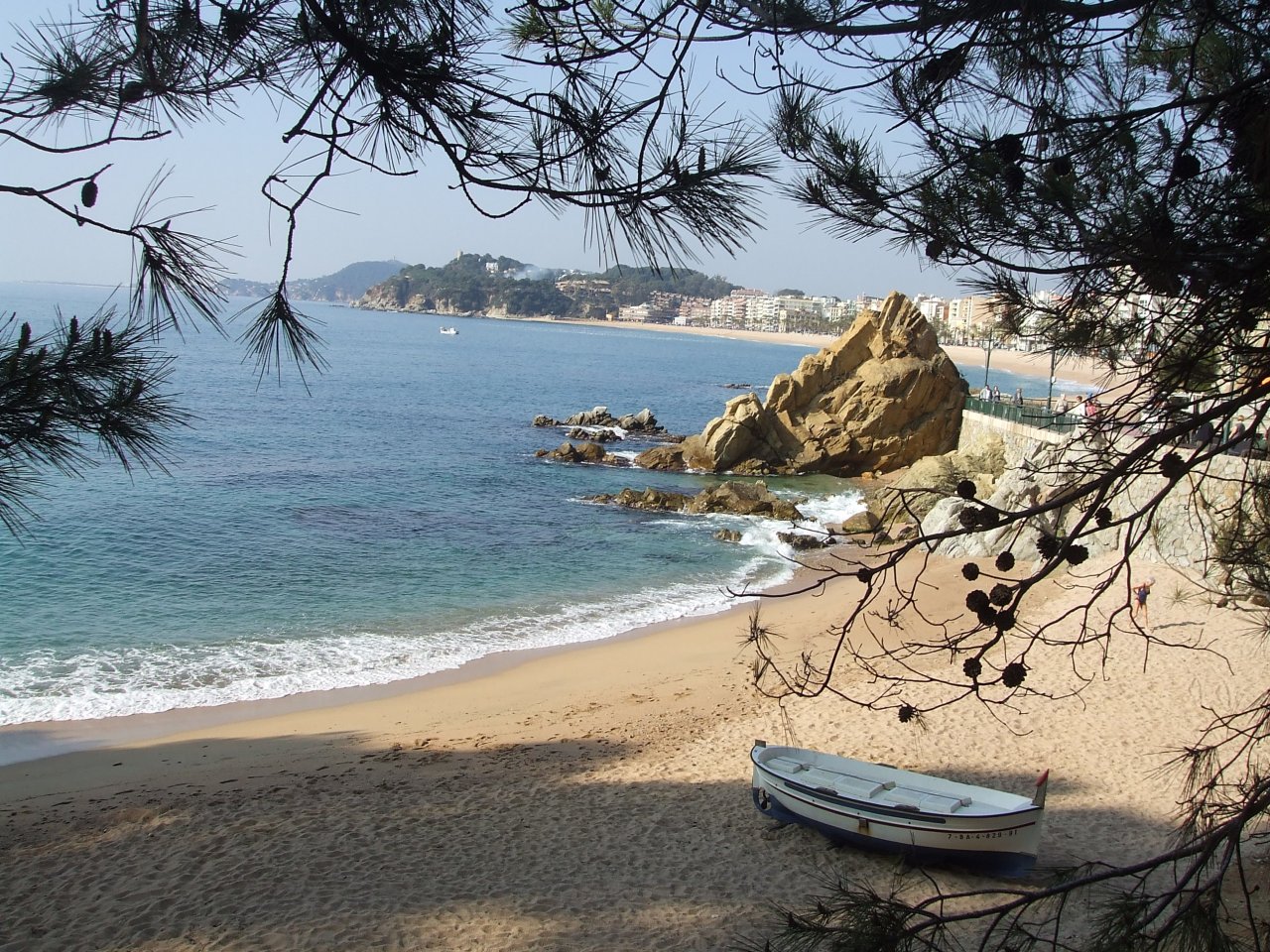 Fonds d'cran Nature Mers - Ocans - Plages arbre fantome en hiver