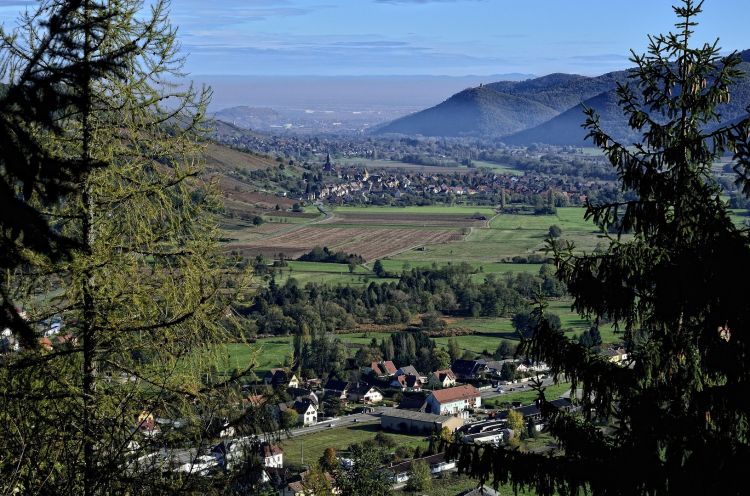 Wallpapers Nature Mountains les Vosges en automne