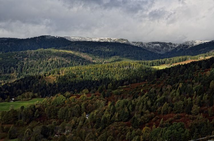 Wallpapers Nature Mountains les Vosges en automne