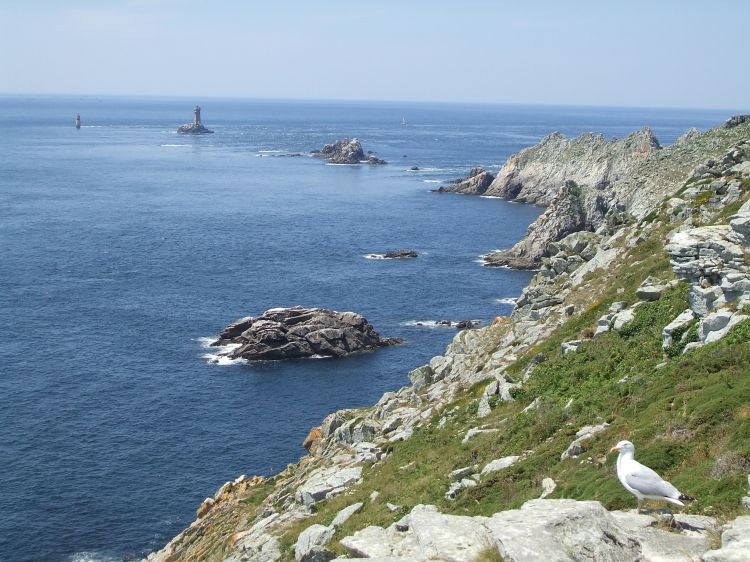 Fonds d'cran Nature Mers - Ocans - Plages arbre fantome en hiver