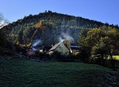  Nature les Vosges en automne