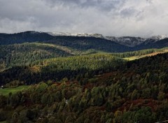  Nature les Vosges en automne