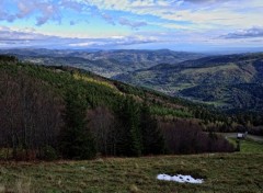  Nature les Vosges en automne