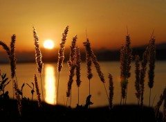  Nature Couch de soleil