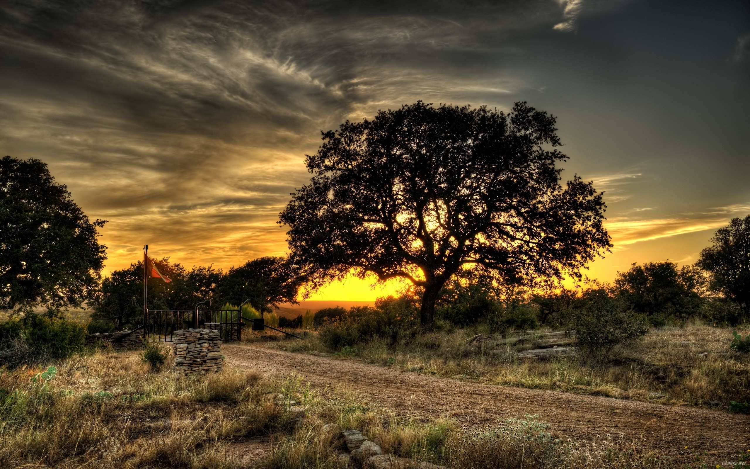 Fonds d'cran Nature Arbres - Forts 