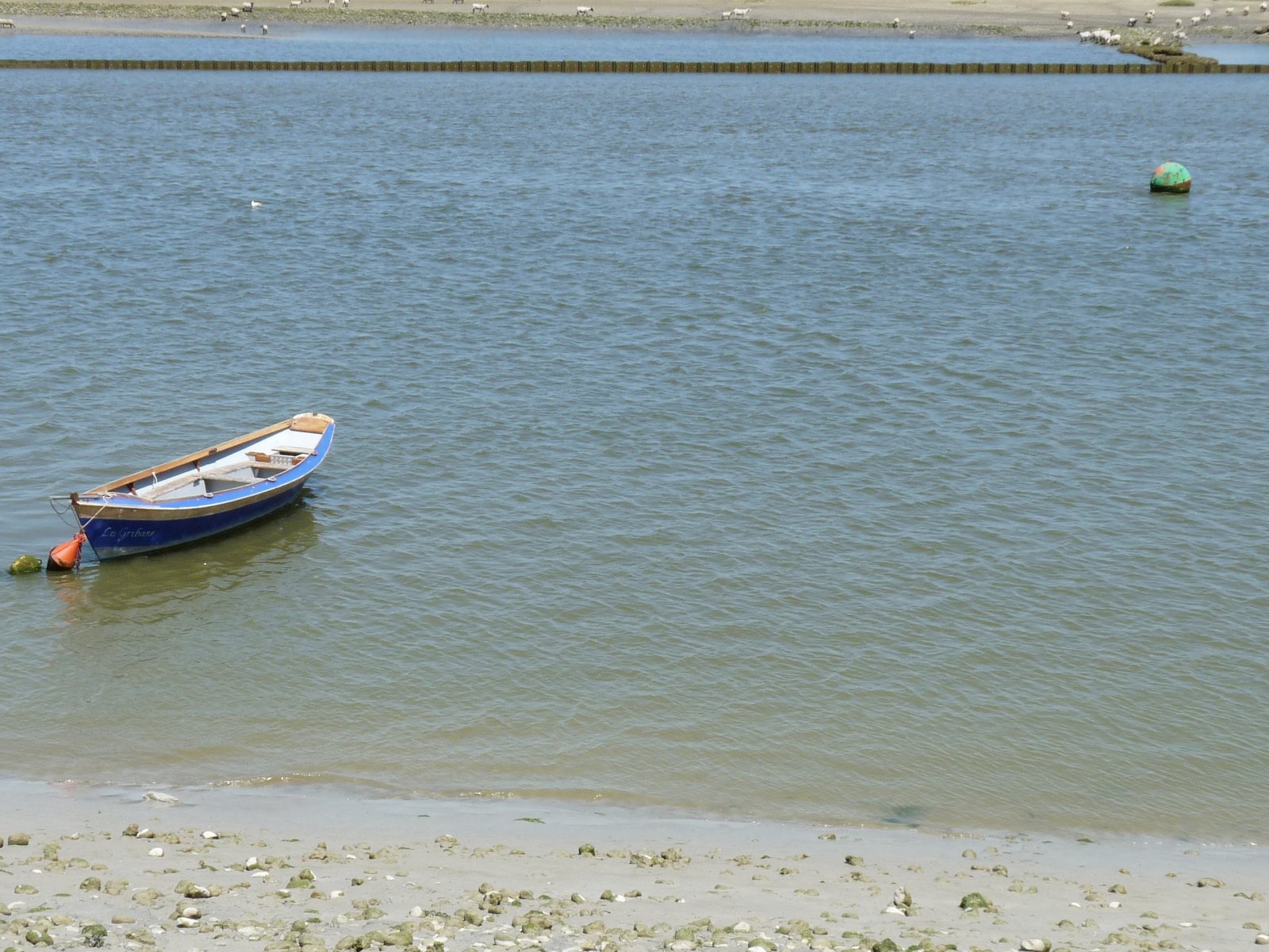 Fonds d'cran Nature Mers - Ocans - Plages 