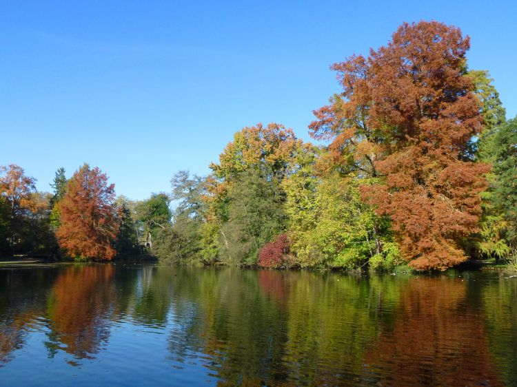 Fonds d'cran Nature Saisons - Automne Reflets d'automne