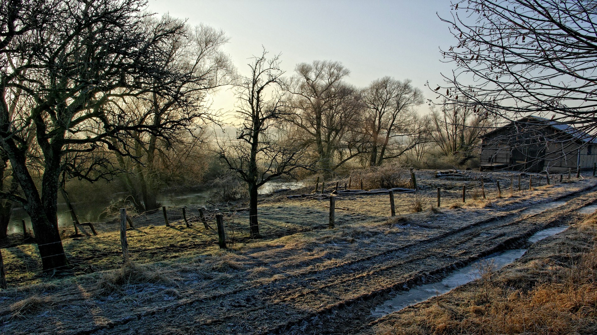 Fonds d'cran Nature Arbres - Forts 