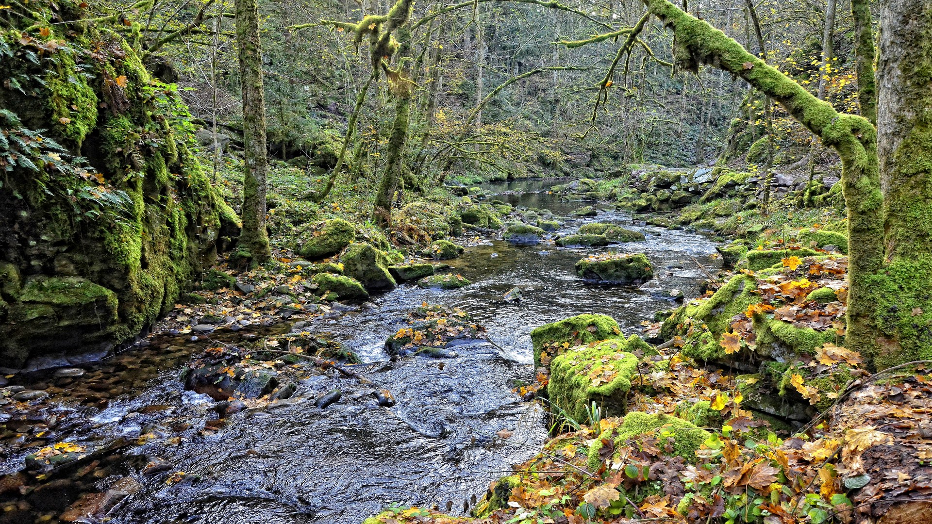 Wallpapers Nature Rivers - Torrents 