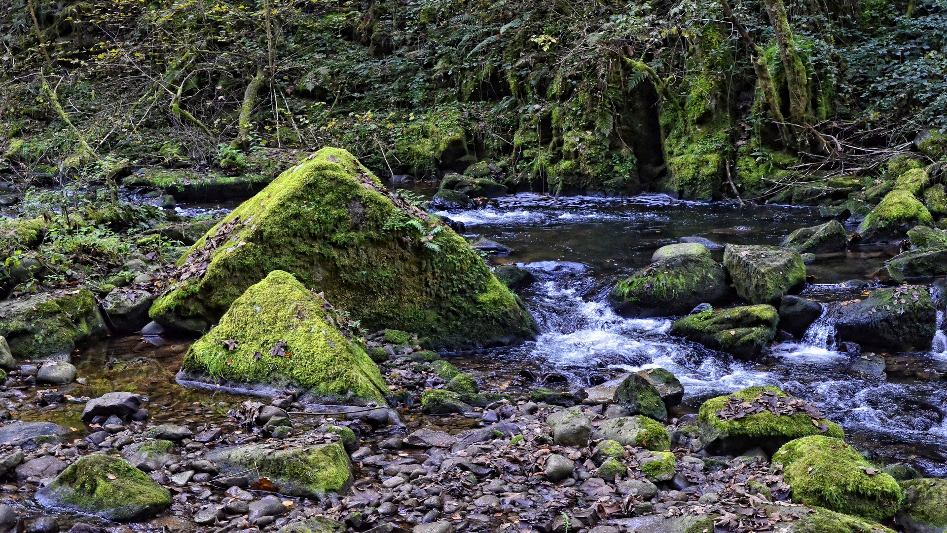 Wallpapers Nature Rivers - Torrents 