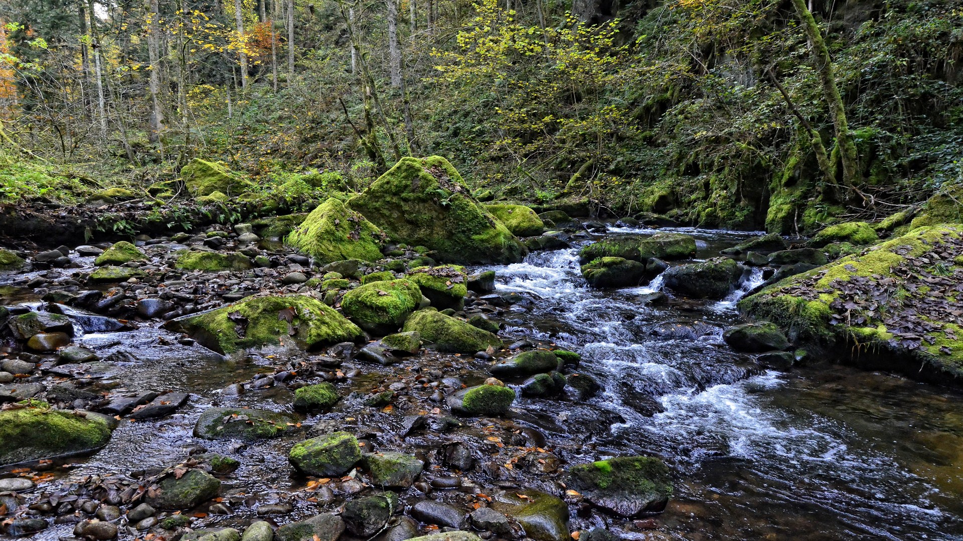 Wallpapers Nature Rivers - Torrents 